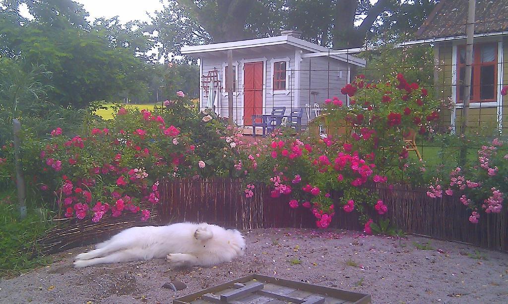 Borakra Bed & Breakfast Karlskrona Bagian luar foto